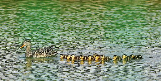 《Ed-0：丧尸崛起》登陆Steam抢先体验环节